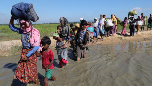 rohingya return.jpg