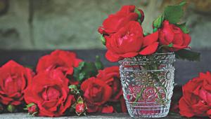 rose.jpg