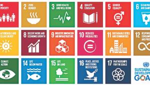 SDGs.jpg