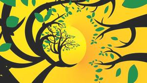 The tree