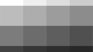 To all the Grays