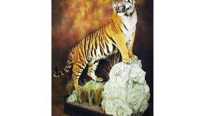 taxidermy.jpg