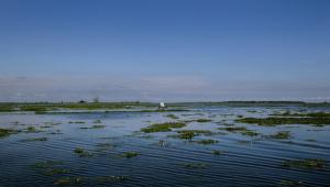 Scenic photo of a haor