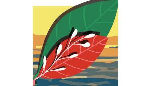 leaf.jpg