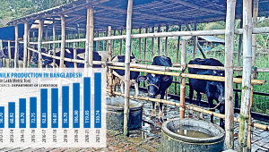 milk-day-2023.jpg
