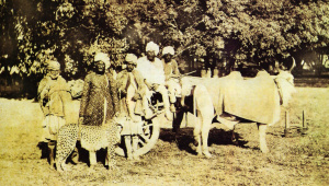 04.jpg