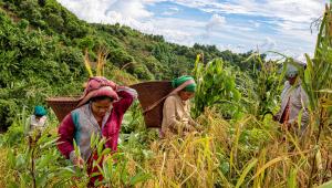 op2_rajib_raihan_19082023_5f23_afi.jpg