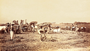 baropakhya-christians-1.jpg
