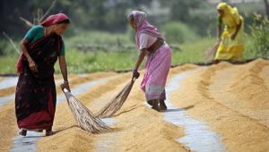 Rural women are the frontline warriors against climate change