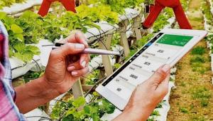 agriculture-4.0.jpg