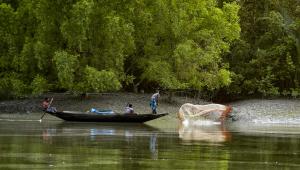 climate adaptation governance in Bangladesh