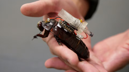 Cockroach robot