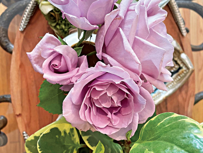 flower2.jpg