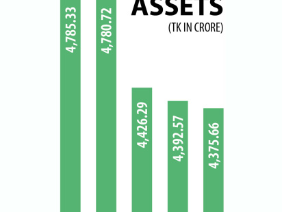 asset.jpg