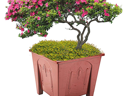 tree2.jpg