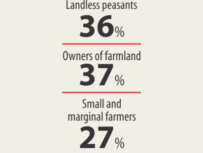 farm_growth_info.jpg
