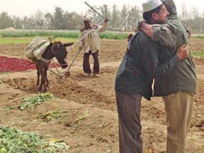 Farmer  Farid