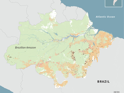 infograph_afp.jpg