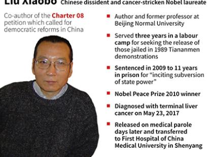 liu-profile-web.jpg
