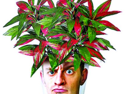 plant5.jpg