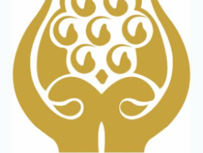 saarc-logo-final.jpg