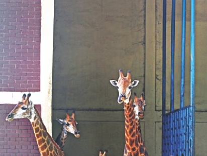 zoo3_2.jpg