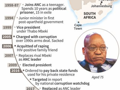 zuma1.jpg