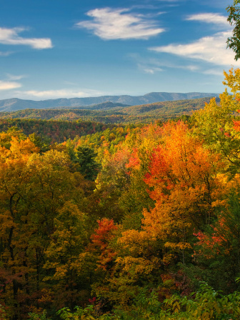 In Delaware’s autumn, I remember Dhaka’s winter