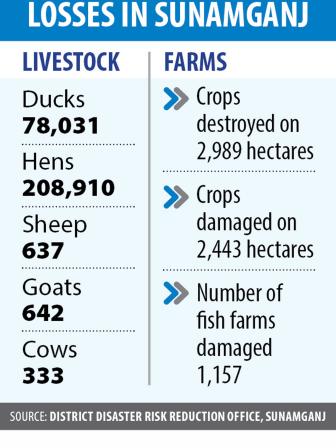 flood-chart.jpg