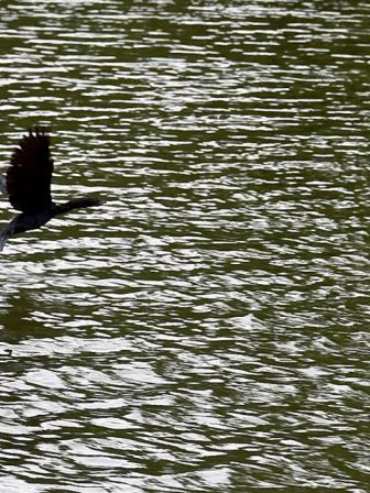 Top 5 lakes to visit in Bangladesh 