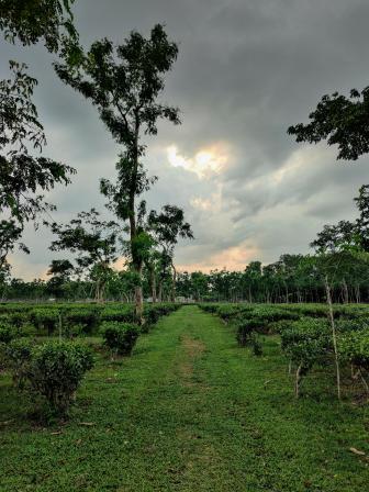 Top 5 places to visit in Sreemangal