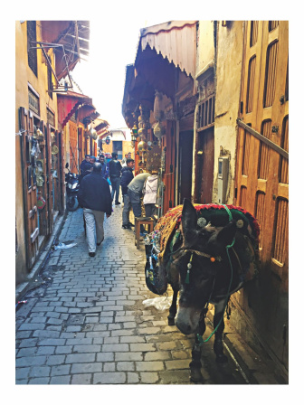 32 Hours in Fez