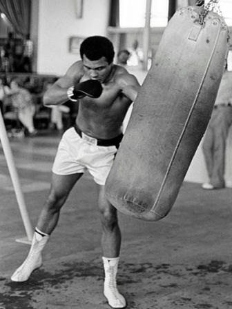 ALI-5-fights-2-web.jpg