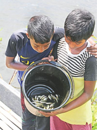 Bucket3.jpg