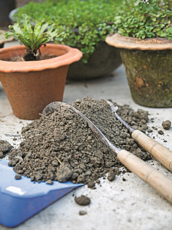 gardening