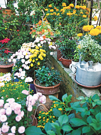 gardening2.jpg