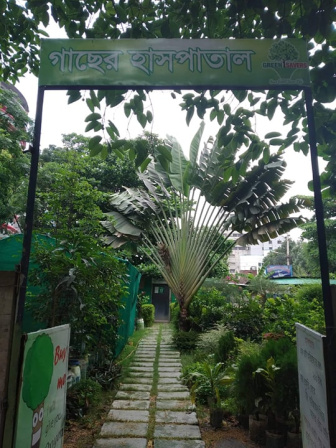 green-eid-himadri_0.jpg