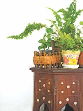 Green decor