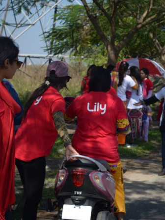 lily5.jpg