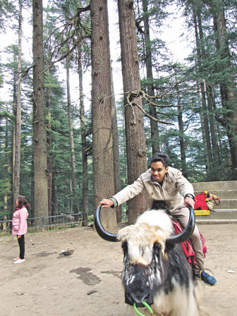 manali3.jpg