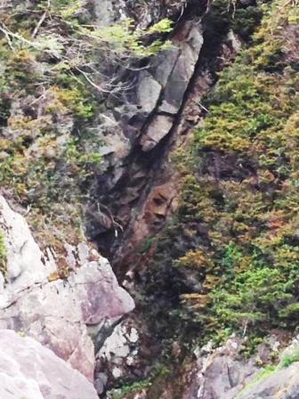 mountain-face-canada-wb2.jpg