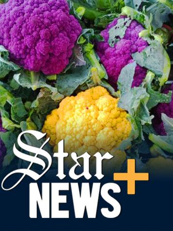 cauliflower