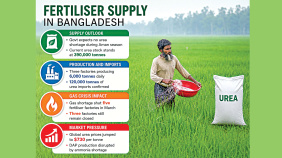 Fertilizer Supply Bangladesh