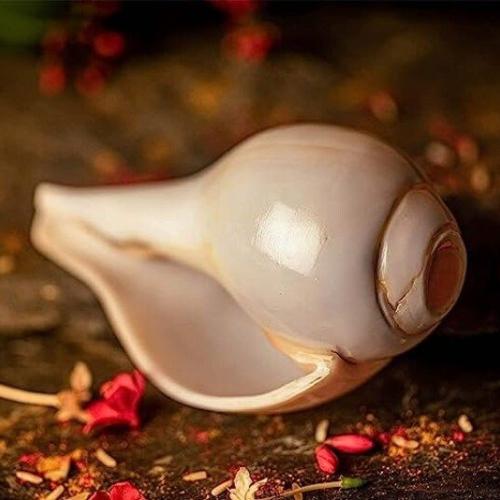 The blissful sounds of Puja 