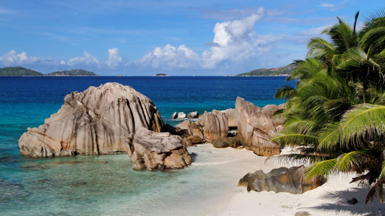 seychelles_special.jpeg