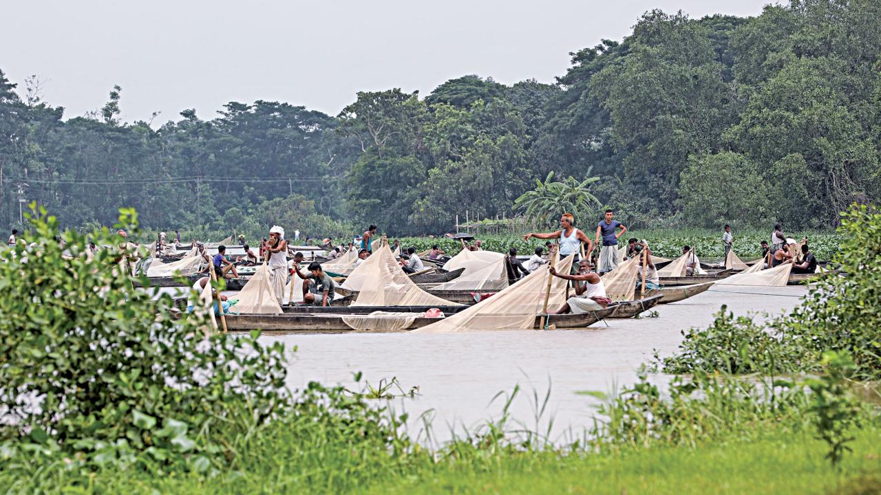 halda-2.jpg