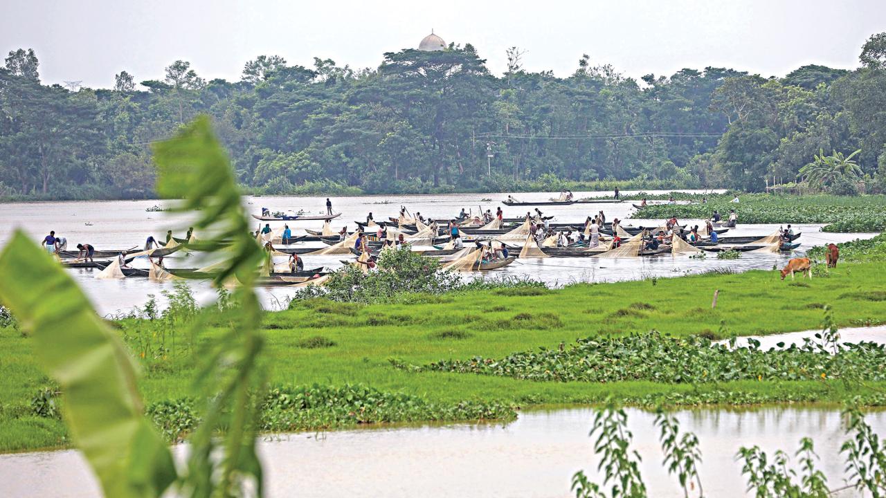 halda-3.jpg