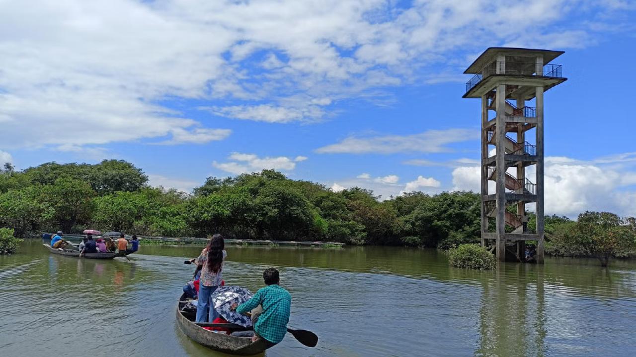 Ratargul Swamp Forest