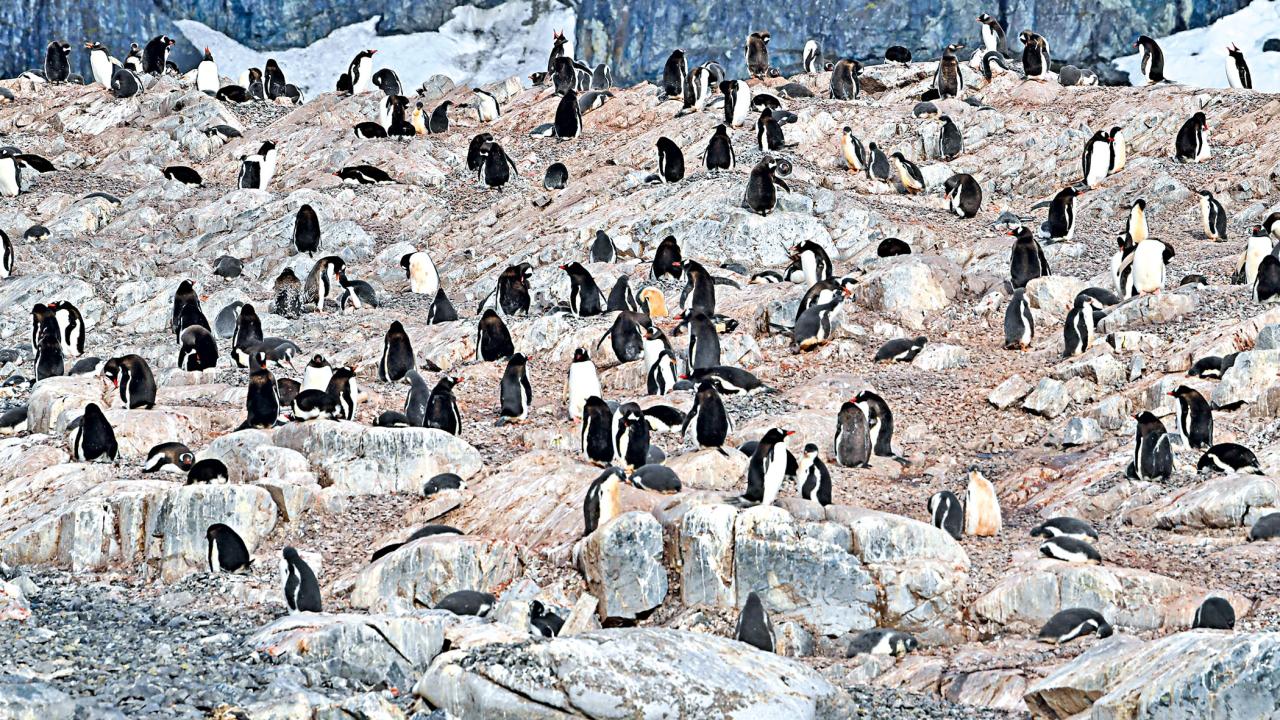 antartica8.jpg