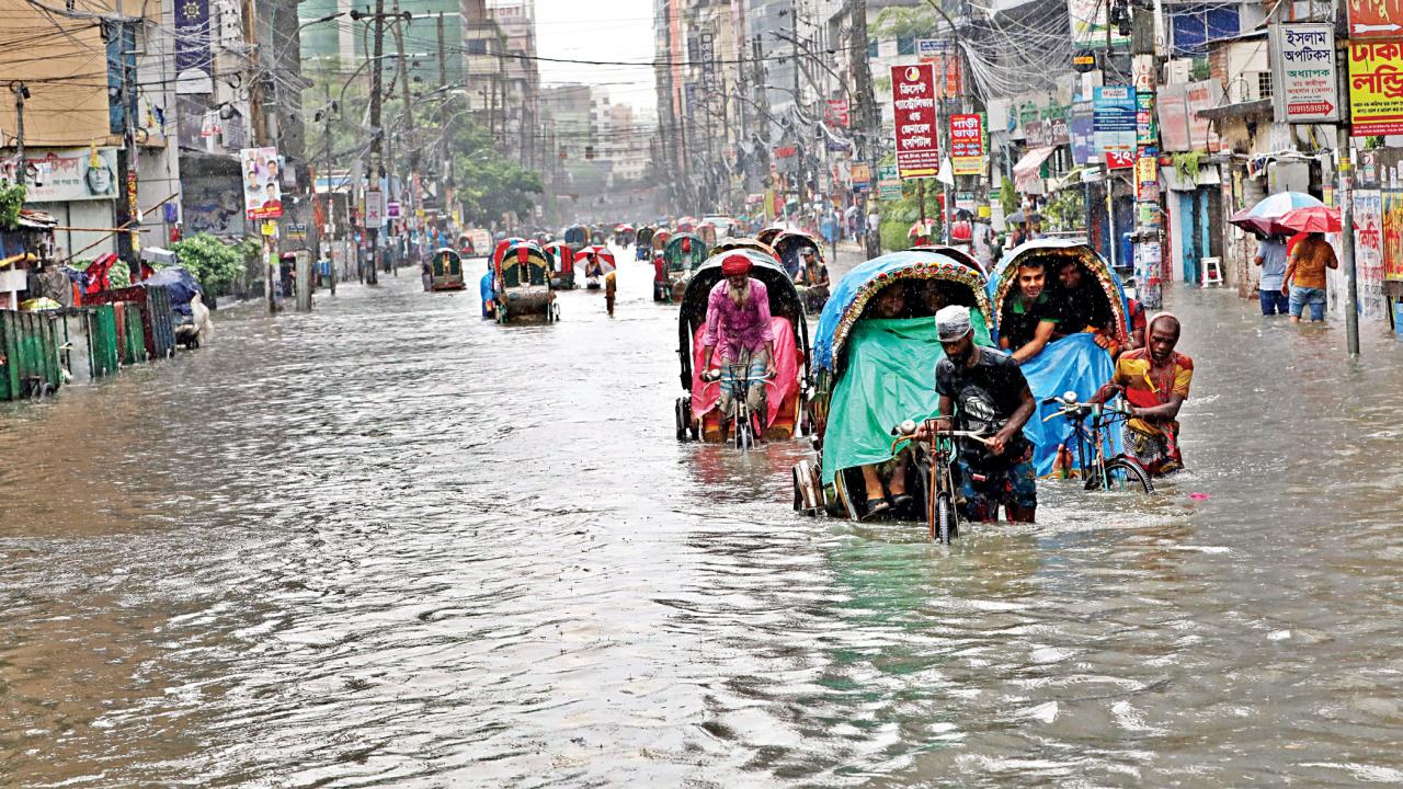 waterlogging3.jpg